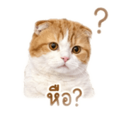 849724123