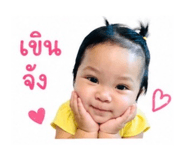 849733646