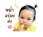 849733647