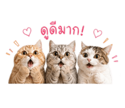 849735460