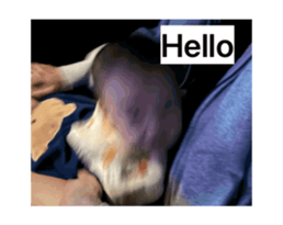 849741246