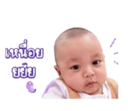 849743343