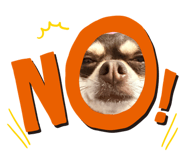 849747128