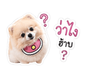 849752250