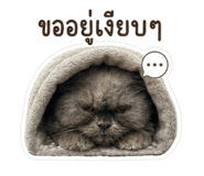 849753272