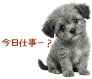 849763641