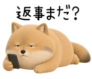849763692
