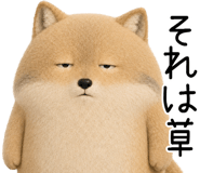 849763717