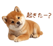 849764290