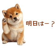 849764298