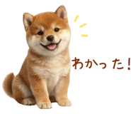 849764313