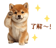 849764314