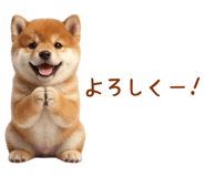 849764318