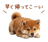 849764324