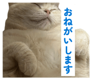 849766321