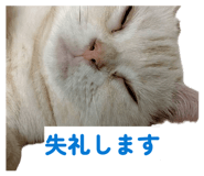 849766323