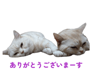 849766324