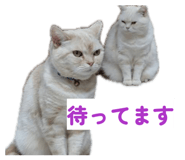 849766329