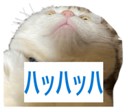 849766333