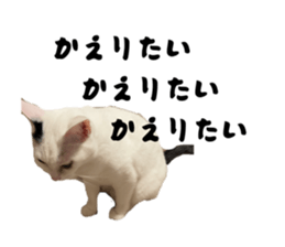849767530