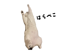 849767532