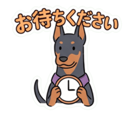 849771250