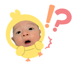 849772043