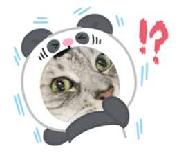849772259