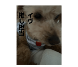 849776080