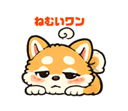 849777096