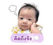 849782013