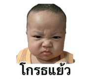 849785373