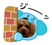 849787061