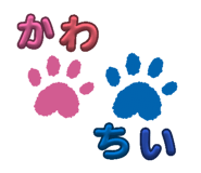 849787064