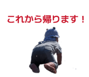 849787931