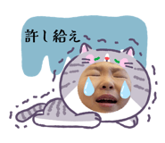 849788148
