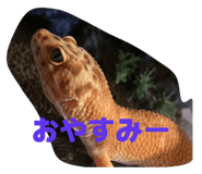 849788643