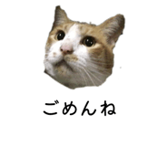 849788682