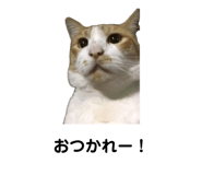 849788683