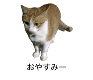 849788684