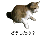 849788687