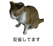 849788688