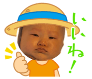 849791144