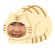 849792112