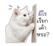 849793871