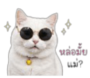 849793876