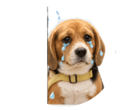 849795851