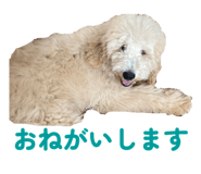 849796274