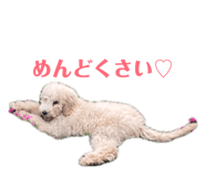 849796281