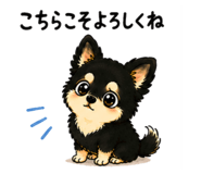 849796528